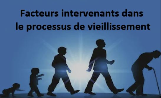 Facteurs intervenants dans le processus de vieillissement